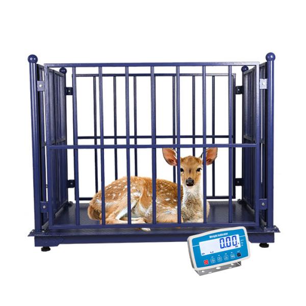 Balance de cheval en acier inoxydable Balance de plancher pour élevage de bétail avec clôture 500g précision et alimentation AC110V/220V