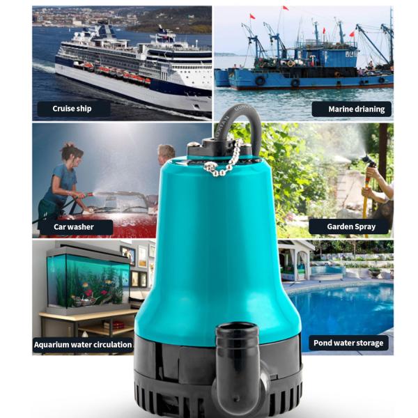 12v dc hot selling mini portable high pressure water pump agriculture colorful water pump marine pump