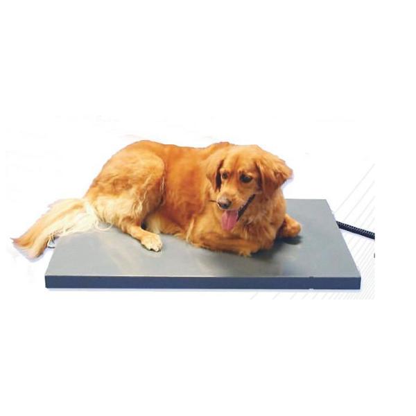 Acier au carbone balances vétérinaires de 60 kilogrammes 400 x 350 millimètres