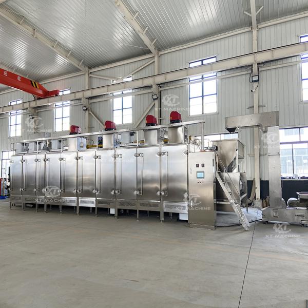 300kg/h Continuous Nuts Roasting Machine for Food Processing