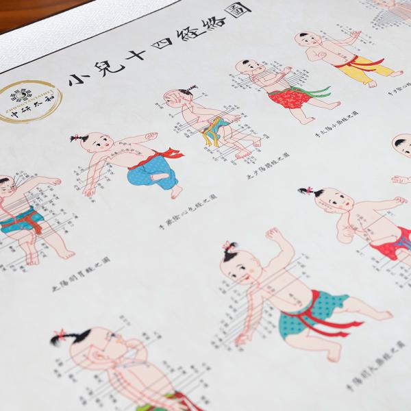 0.4 Diameter Acupuncture Culture Categories Teaching Supplies for Therapeutic Treatment
