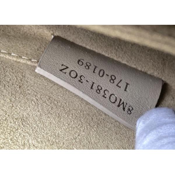 KANI 381 Genunie Cowhide Leather luxury cross-body bag Mini Size Simple Style chain bag