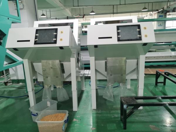 Advanced Technology Fig Hazelnut Color Sorter Coffee Bean CCD  Peanut Rice Optical Sorter