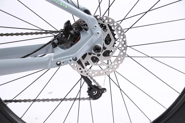 250W Electric Bike with Multi-Function Display and Smart Features Electric Mountain Bicycles