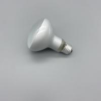 Bearded Dragon Night Lamp 100W Night Heat Lamp For Lizards Iguanas