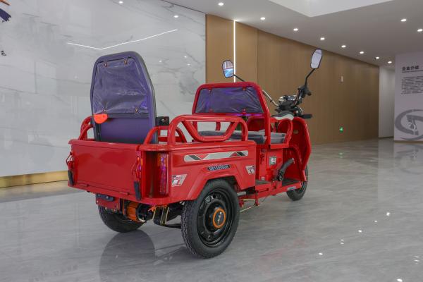 800w Passenger Electric Tricycle With Back Seat Foldable Safety Guardrail