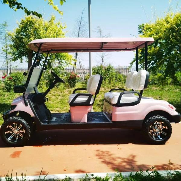 Розовый цвет 60В 4КВ система переменного тока EV Golf Cart Новая энергия внедорожный электрический гольф-карт