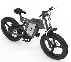 31 - 60km Range Fat Wheel Electric Bike