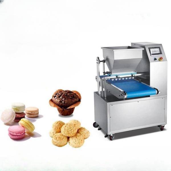 Upgrade Your Fortune Cookie Production Line with Our Best Rotary Butter Cookie Maker