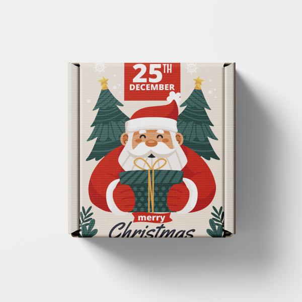 Boîtes d'emballage personnalisées de luxe personnalisables Boîtes d'expédition de soins de la peau Boîte cadeau de Noël pour cadeaux de vacances