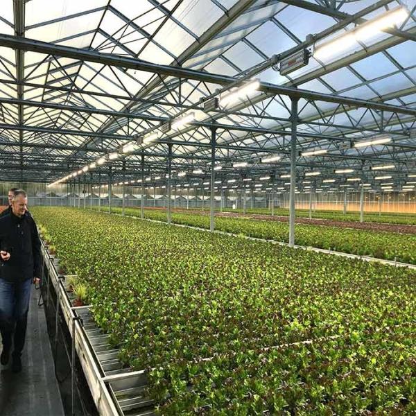 Corrosion Resistance Agriculture Solar Energy Greenhouse 2.0mm 2.5mm Thickness