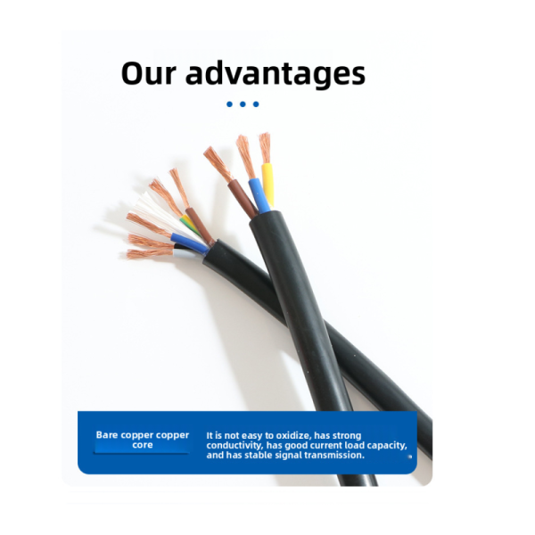 Multi-Core Flexible Control Cable with 300/500V Voltage Rating and 2000kV AC Test Voltage for Industrial Equipment and Home Appliance Lighting