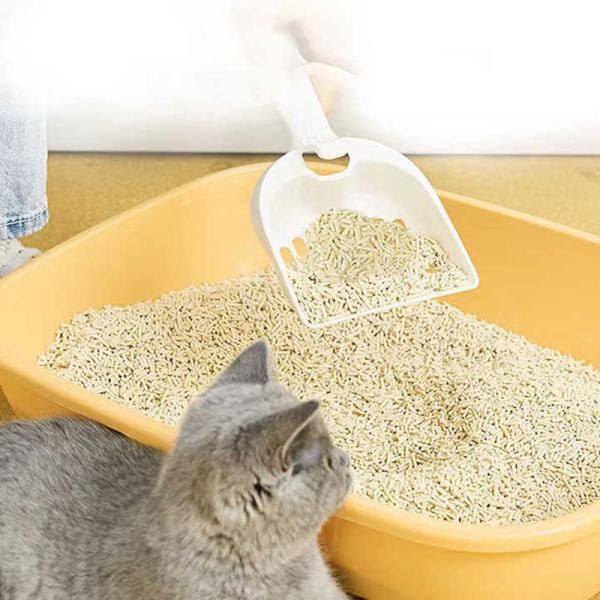 Beauty Products Free Samples Arena PARA Gatos Odor Control Peach Green Tea Flavored Clumping Tofu Cat Litter