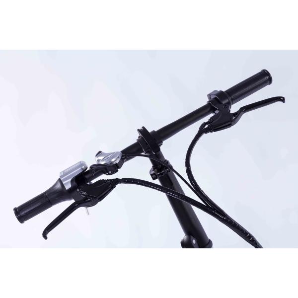 Durable Electric Snow Bike 7 Speed 36V 10AH Lithium Battery Two Seat