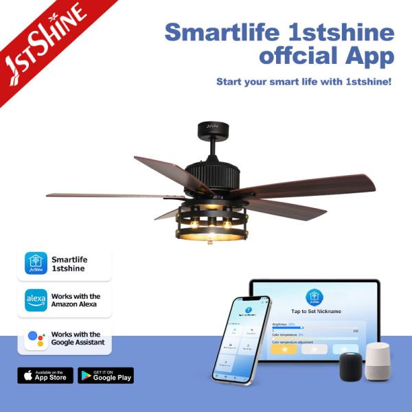 Metal Ceiling Fan Light with 6 Speed Remote Control European Style and Silent DC Motor
