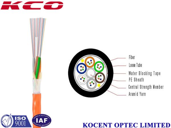 Custom 12 Multi Strand Fiber Optic Cable Single Mode PE Material Indoor Outdoor