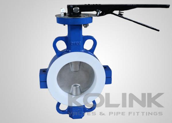 PTFE Seated Butterfly Valve Concentric 2-48 Inch Class150