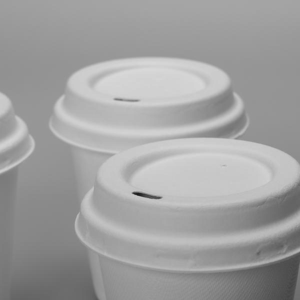 Багасса отлила чашки и крышки в форму пульпы течебезопасные 8oz 250ml Biodegradable