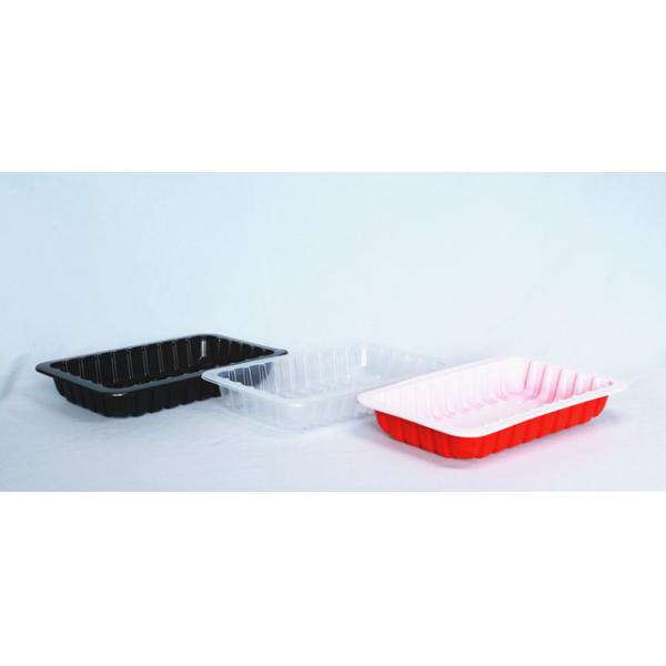 220 X 140 X 35 MM Disposable Food Packaging Tray PP Disposable Party Food Trays