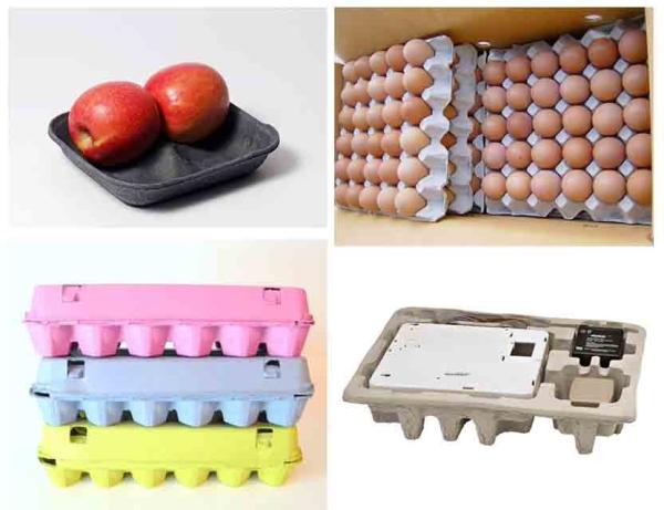 5000pcs Per Hour Capacity Paper Egg Tray Machine Pulp Molding Machine 12-20 Stroke/minute Forming Speed for Egg Tray Making