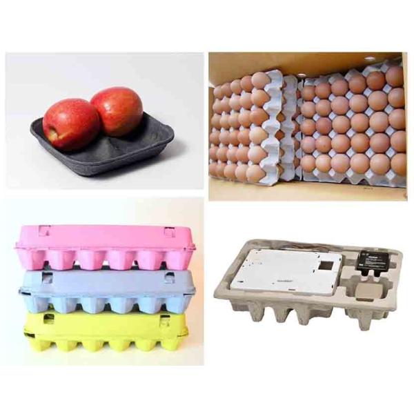 Semi-Automatic Paper Egg Tray Machine 1000pcs/h Automatic Egg Carton Production Line