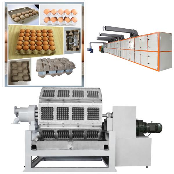 Différents modèles de machines de plateaux à œufs en papier Machine de moulage de pâte de papier Moules personnalisés