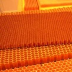 Para Aramid Honeycomb Core Ultra High Strength And Rigidity