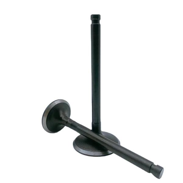 Клапаны двигателя автомобиля платформы грузоподъемника K21 NISSAN 13201 - FY500 13202 - FU400