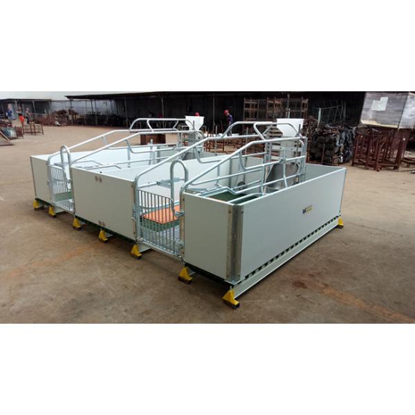 OEM Clean Durable Steel Tri Bar Pig Farm Equipment