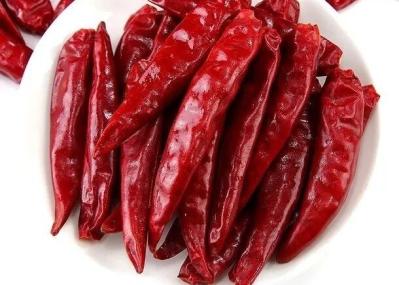 5lb. Bulk Tien Tsin Chile Peppers For Chinse Cuisine Cooking