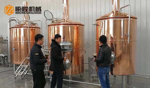 Pale Ale Red Copper 2.5 Bbl Brewing System 2-6 Brew / Week For Small Taproom