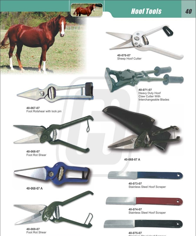 Goat cattle horses pig Vshaped Ushaped stainless steel clamps ear piercing punching pliers