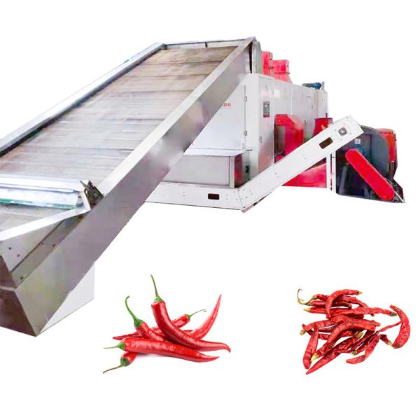 PLC Control Industrial Stainless Steel Mesh Belt Dryer For Irregular Lumps Red Dates