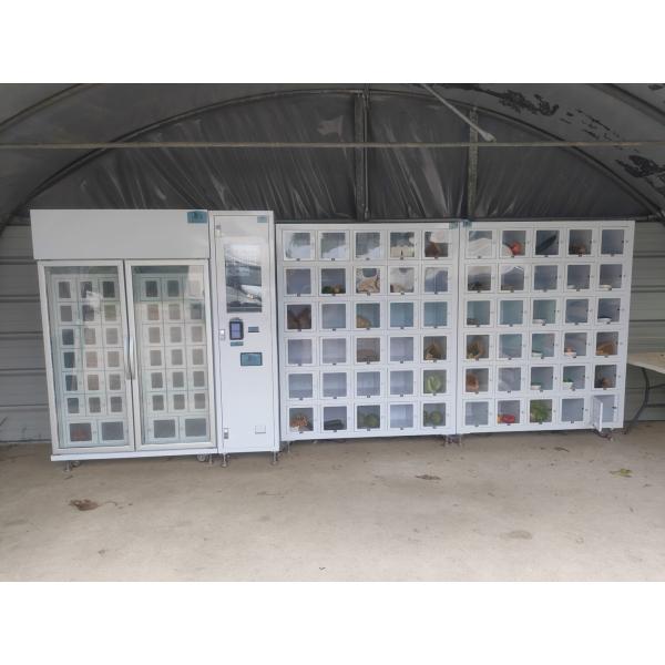 Farm Fresh 24/7 Locker Vending Machine With Automated Cooling And Contactless Payment