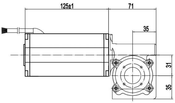 Мотор 190 RPM шестерни червя Dc направления 24v CW