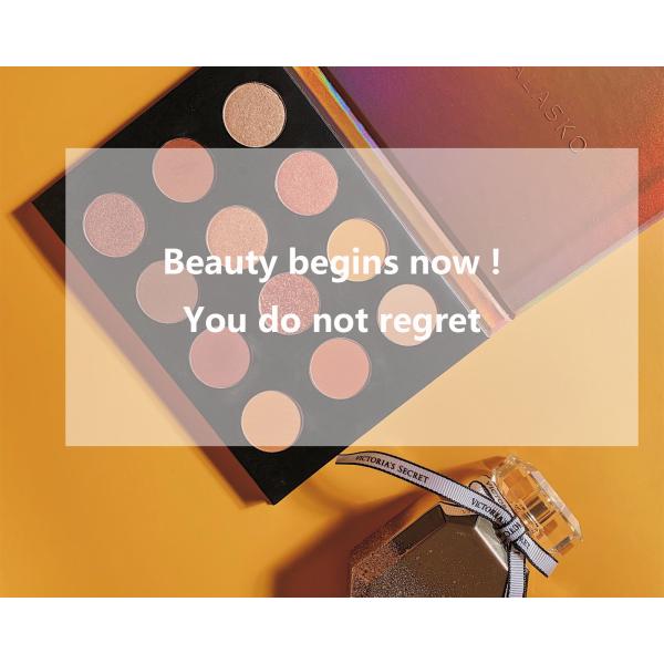 Quick Sand series fashion beautiful 12 Color 12g Eye Shadow Palette