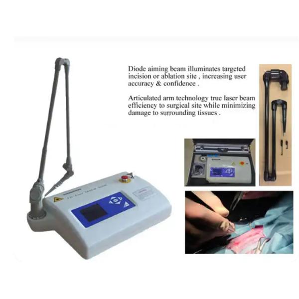10600nm Veterinary Co2 Laser Wart Removal Surgical 15w Device For Dogs