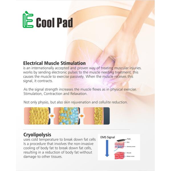 Салон красоты Euqipment машины CRYO Cryolipolysis EMS для потери Weilght с 4 ручками