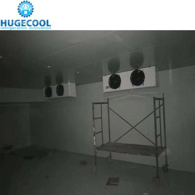 Armazenamento frio da sala da refrigeração