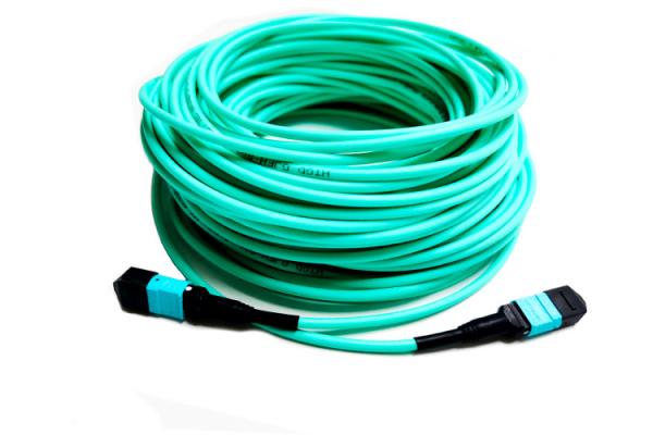 50/125 24 Core MTP MPO Fiber Cable OM4 10m Multimode