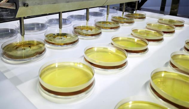 Shenzhen Lijing Biotechnology Co., Ltd.