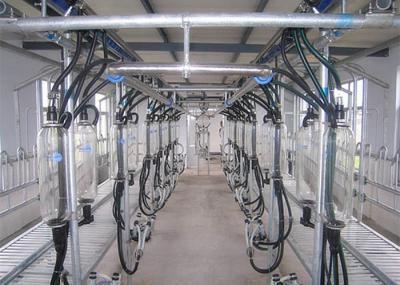 Sala de estar de ordenha de ordenha compacta de desenhos em espinha do equipamento da disposição para a exploração agrícola da cabra