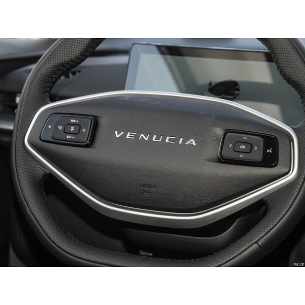 Customized Request Car Electric Vehicle EV SUV Dongfeng Venucia Vx6 520 PRO 2023