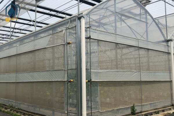Agricultural Multi Span Strawberry Green House Plastic Shed Tomato Tunnel Greenhouse