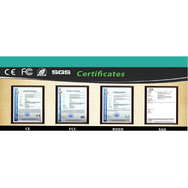 Charm Watch Customized LOGO Wood Watches For Ladies