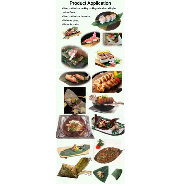 Fresh Pollution Free 35cm Chinese Bamboo Leaves