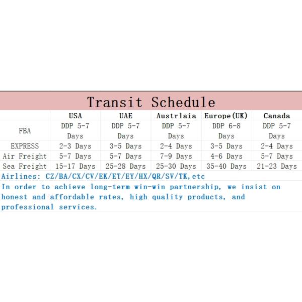 Морской груз Dropshipping По всему миру отгрузка из Китая в США