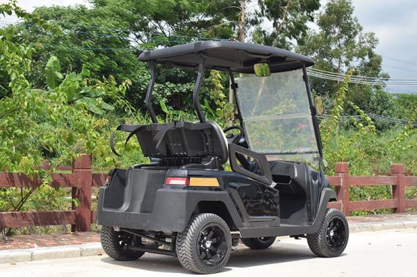 Convenient Electric Golf Buggy Italy Graziano Axle 12/1 Trojan Battery