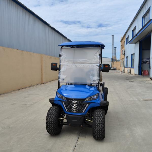 Blue Color 2 Seater Electric Off-Road Golf Cart High Power 12'' Tires 4kw Motor