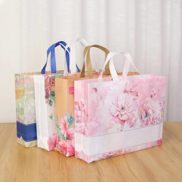 Advertising Cheap Promotional PP Woven Shopping Bags